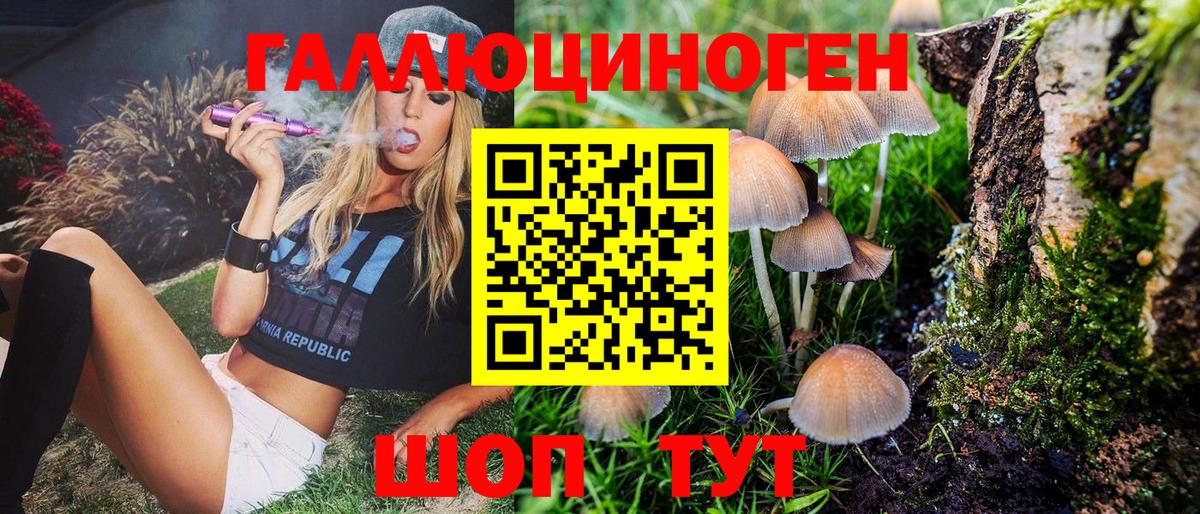 Псилоцибиновые грибы Psilocybe Оренбург